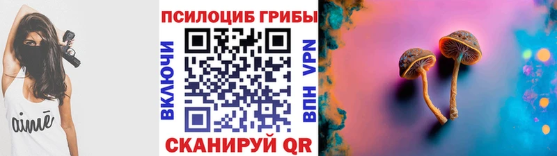 Купить где Луга Псилоцибиновые грибы мицелий